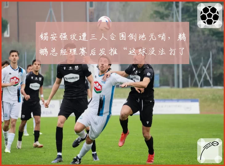 锡安强攻遭三人合围倒地无哨,鹈鹕总经理赛后发推“这球没法打了”