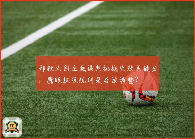 郑钦文因主裁误判挑战失败关键分，鹰眼权限规则是否该调整？