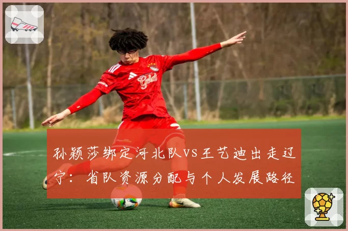 孙颖莎绑定河北队vs王艺迪出走辽宁：省队资源分配与个人发展路径两极分化