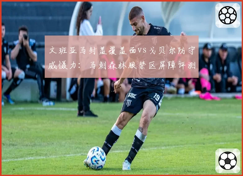文班亚马封盖覆盖面vs戈贝尔防守威慑力：马刺森林狼禁区屏障评测